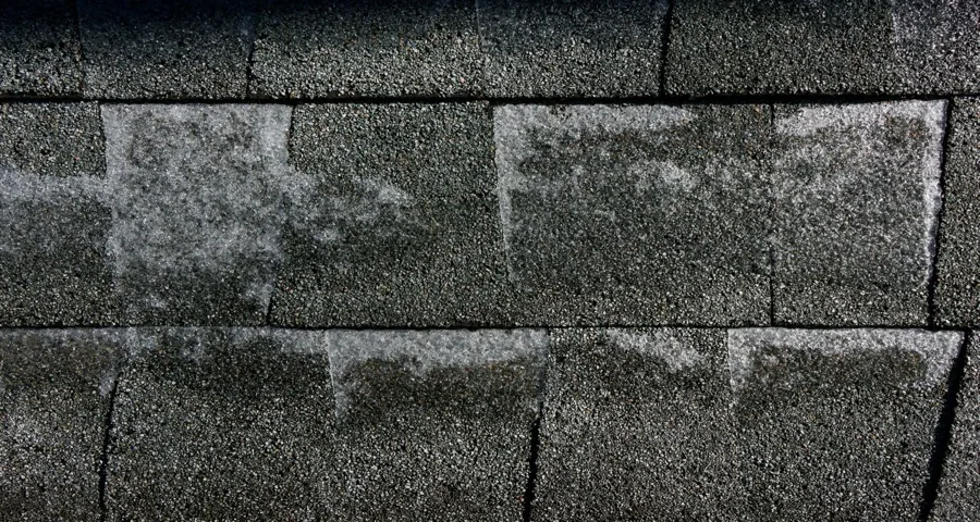 Storm-damaged asphalt shingles showing early failure: lifted tabs, exposed nailing zone